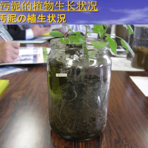 保水保肥(water and fertilizer holding)